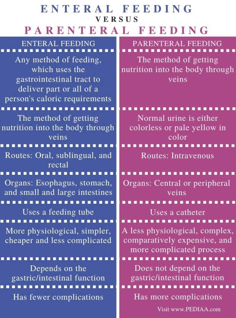 What is the Difference Between Enteral and Parenteral Feeding