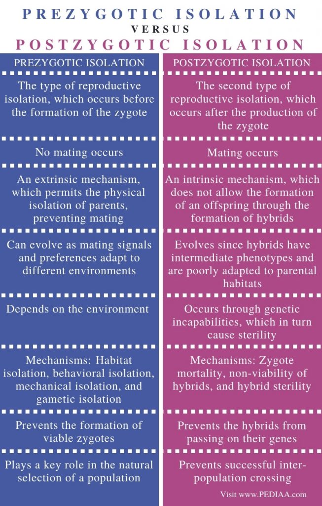 What is the Difference Between Prezygotic and Postzygotic Isolation