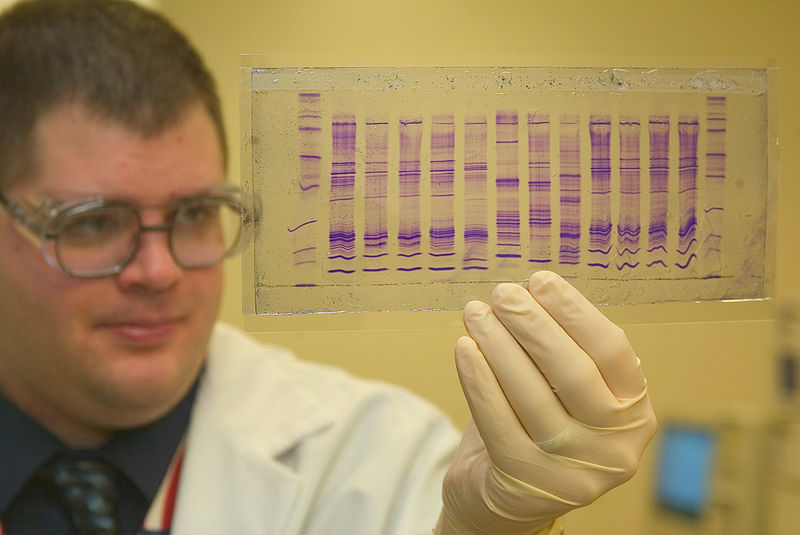 DNA Profiling vs DNA Sequencing
