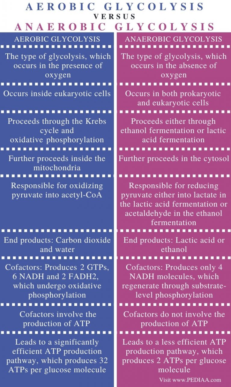 what-is-the-difference-between-aerobic-and-anaerobic-glycolysis