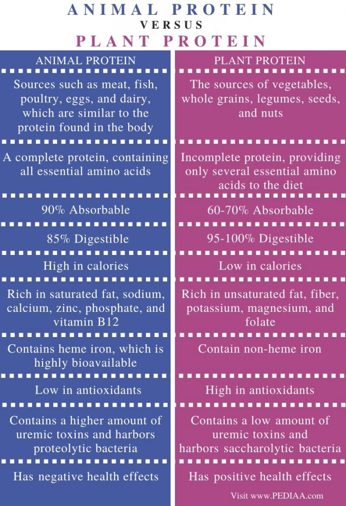 Plant Protein Vs Animal Protein Chart