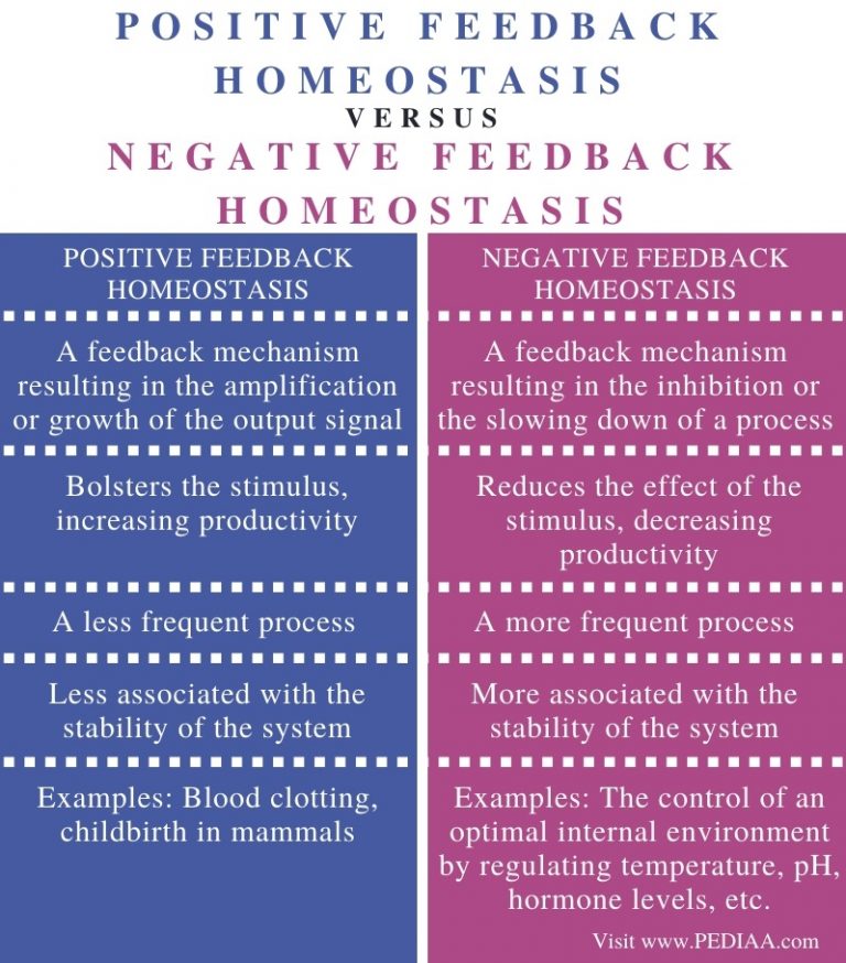 Positive Vs Negative Feedback Loop Homeostasis