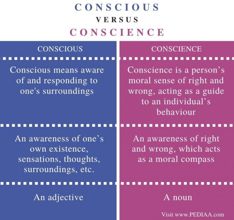 Difference Between Conscious and Conscience