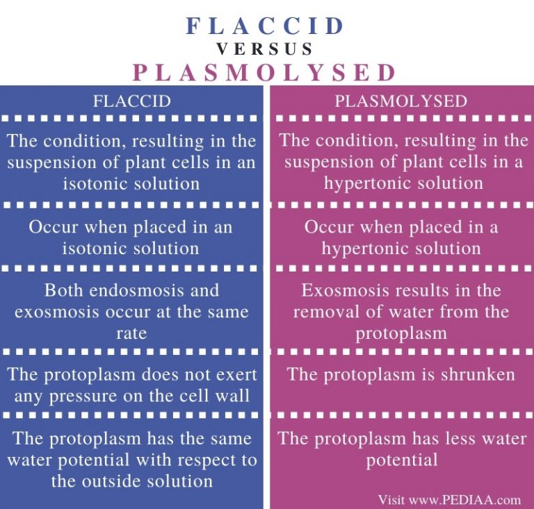 What is the Difference Between Flaccid and Plasmolysed - Pediaa.Com