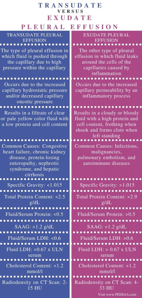 What is the Difference Between Transudate and Exudate Pleural Effusion ...