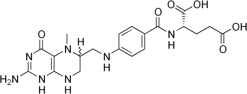 Difference Between L Methylfolate and Folic Acid