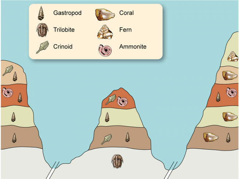 what-is-the-difference-between-relative-dating-and-radiometric-dating