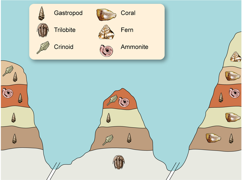 difference-between-relative-dating-and-radiometric-dating-compare-the