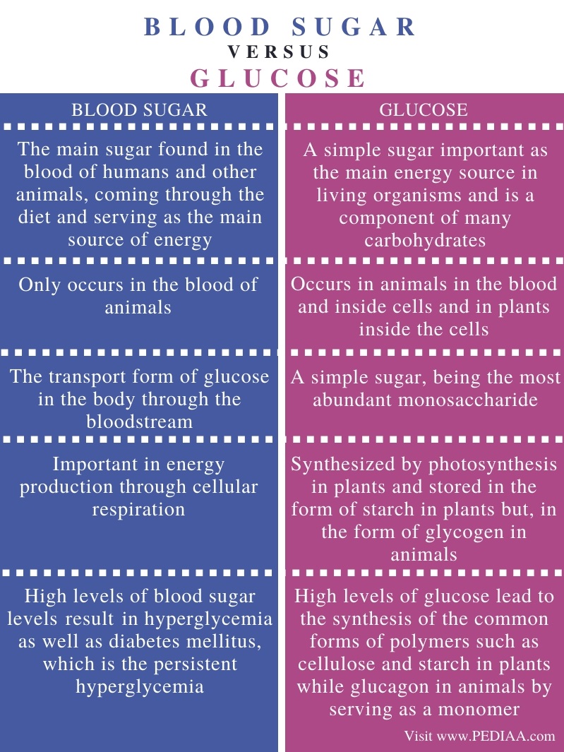 Difference Between Blood Sugar and Glucose - a Comparison Summary