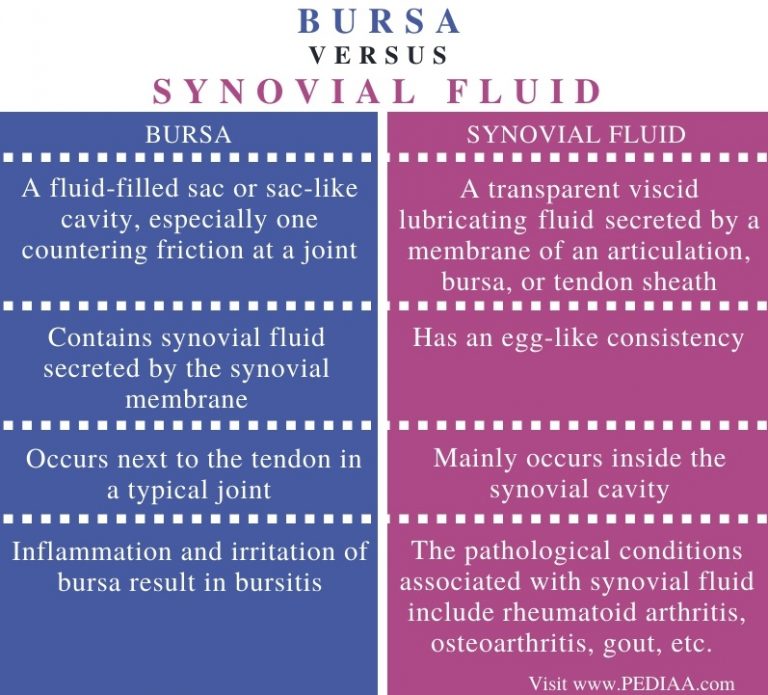 What is the Difference Between Bursa and Synovial Fluid - Pediaa.Com