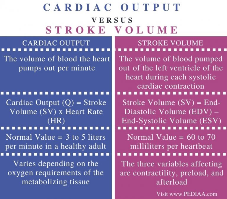 what-is-the-difference-between-cardiac-output-and-stroke-volume