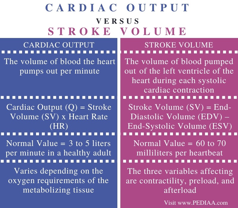 what-is-the-difference-between-cardiac-output-and-stroke-volume