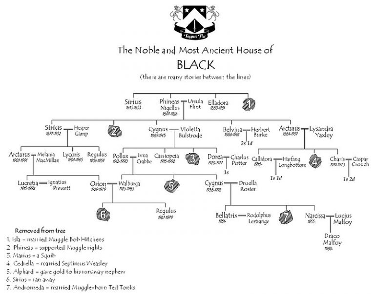 what-is-the-difference-between-ancestor-and-descendant-pediaa-com