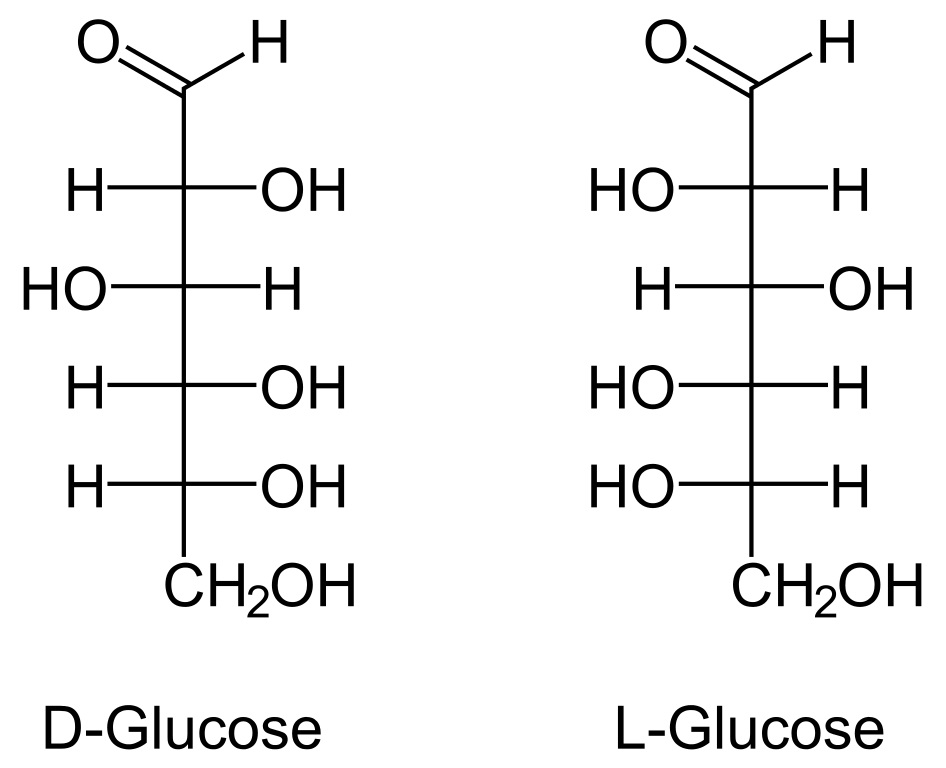 Blood Sugar vs Glucose