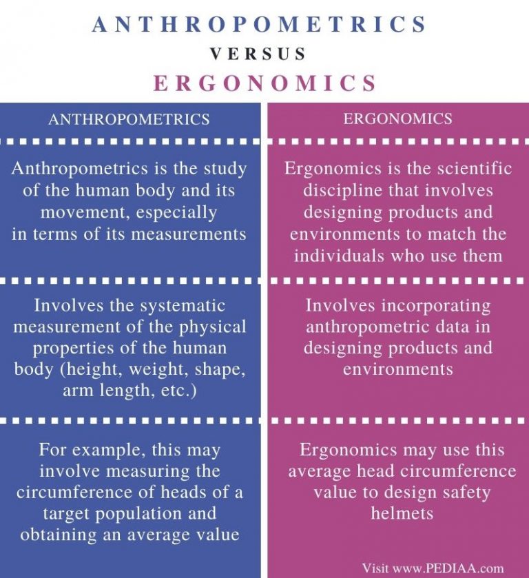 What Is The Difference Between Anthropometrics And Ergonomics Pediaacom 0480