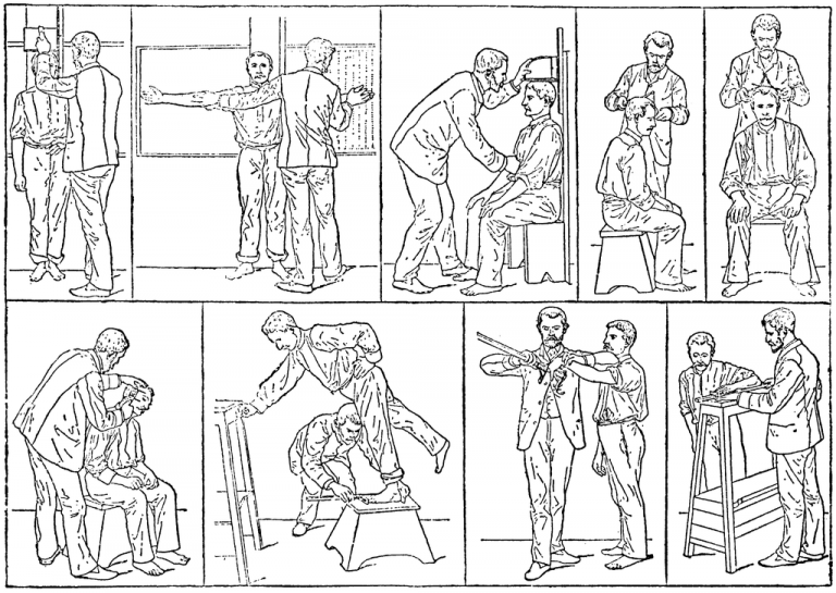 What Is The Difference Between Anthropometrics And Ergonomics - Pediaa.Com