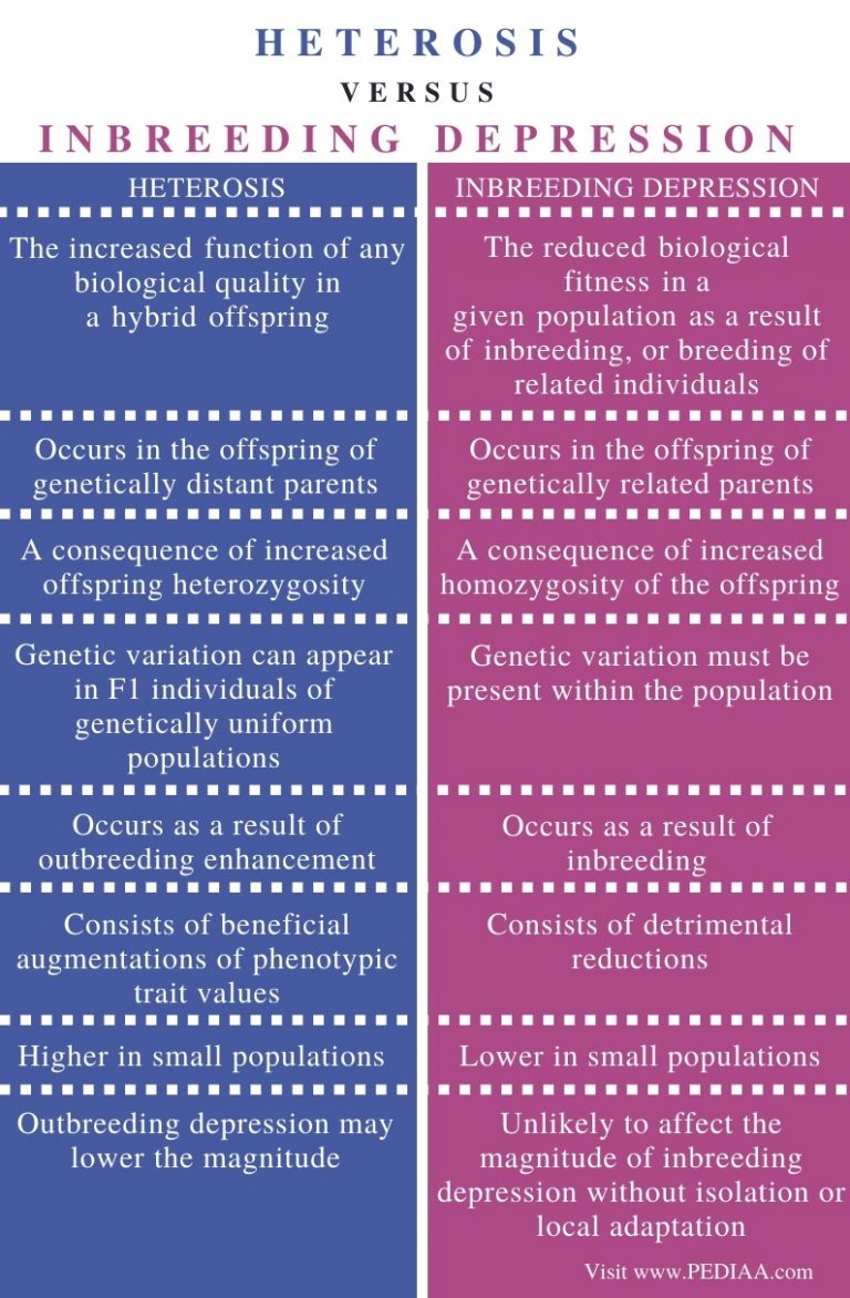 what-is-the-difference-between-heterosis-and-inbreeding-depression