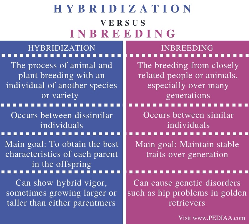 What Is The Difference Between Hybridization And Inbreeding Pediaa Com