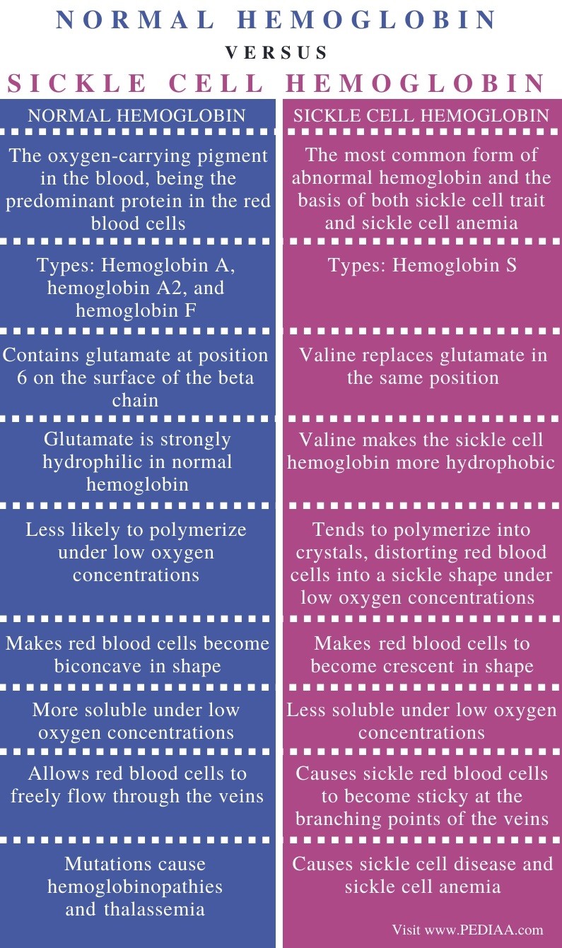 Difference Between Normal Hemoglobin and Sickle Cell Hemoglobin - Comparison Summary
