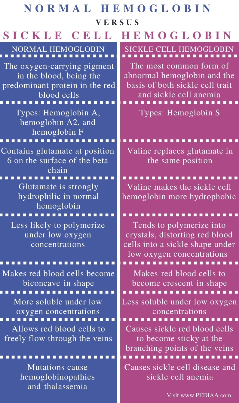 what-is-the-difference-between-normal-hemoglobin-and-sickle-cell