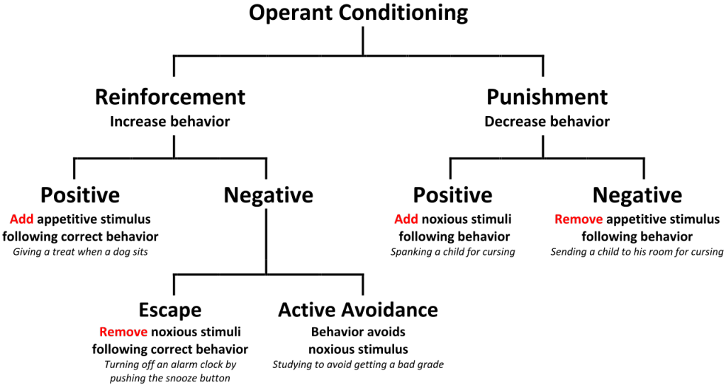 What Is An Example Of Negative Reinforcement