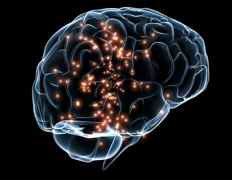  Principale Différence - Théories de l'Apprentissage Comportemental vs Cognitif