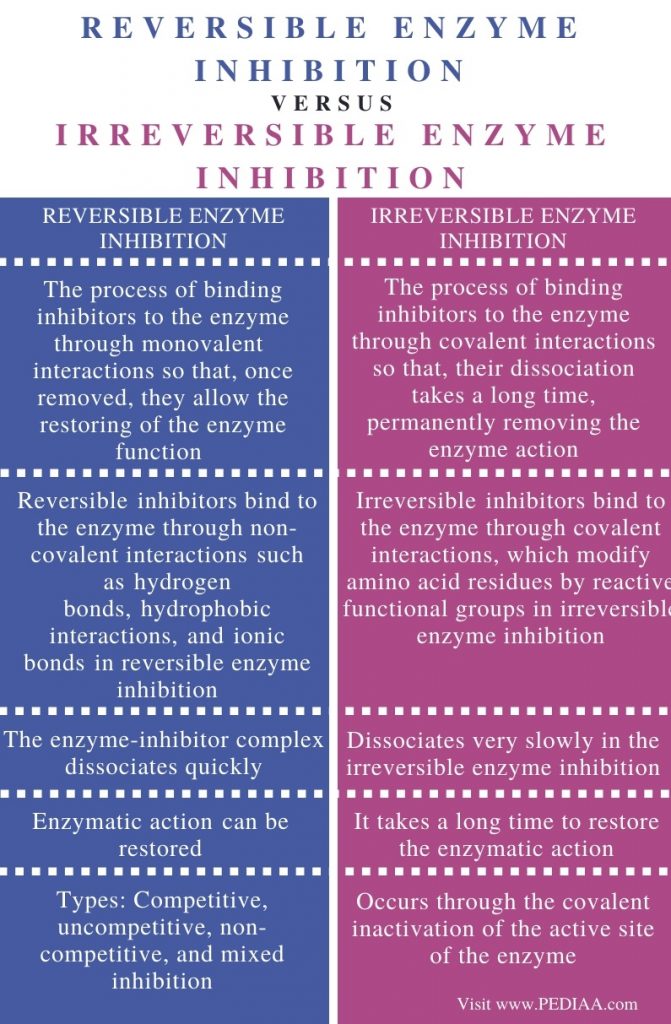 Difference Between Reversible And Irreversible Enzyme Inhibition