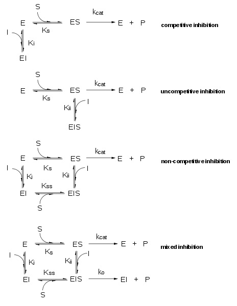 Difference Between Reversible and Irreversible Enzyme Inhibition