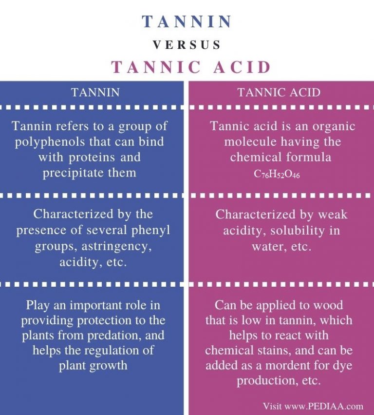 What is the Difference Between Tannin and Tannic Acid - Pediaa.Com