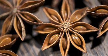 Difference Between Aniseed and Star Anise