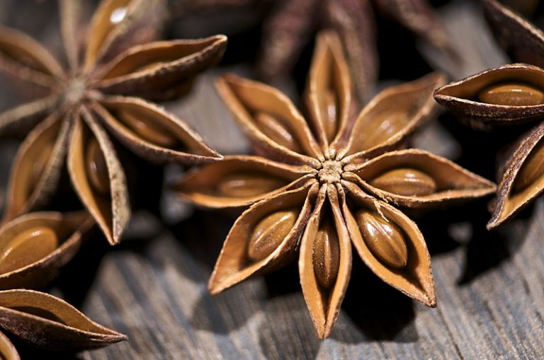 What is the Difference Between Aniseed and Star Anise