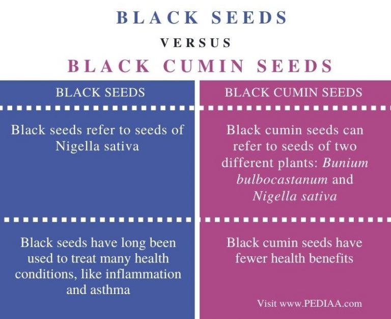 What is the Difference Between Black Seeds and Black Cumin Seeds