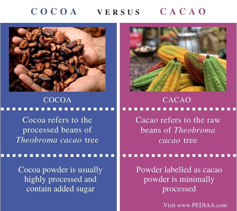 Cacao Powder Vs Cocoa Powder 47 OFF