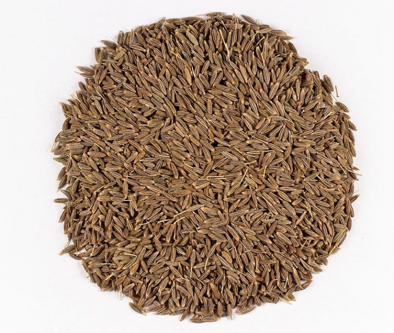 What is the Difference Between Coriander and Cumin