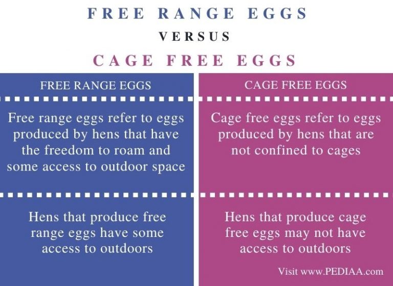 What is the Difference Between Free Range and Cage Free Eggs