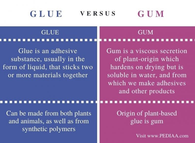 What is the Difference Between Glue and Gum