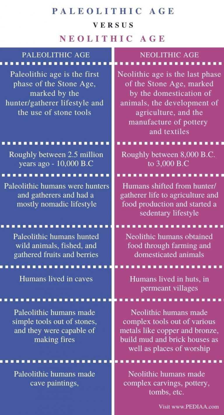 What Were The Main Differences Between The Paleolithic And Neolithic Ages