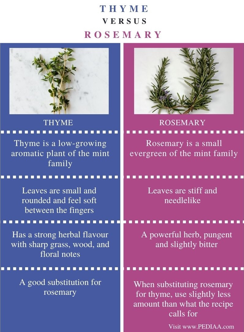 Difference Between Thyme and Rosemary - Comparison Summary