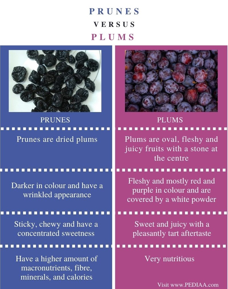 What Is The Difference Between Prunes And Plums Pediaa Com