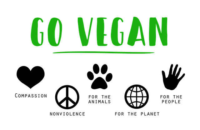 What is the Difference Between Vegan and Cruelty Free 