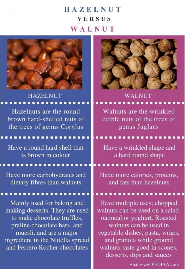 What is the Difference Between Hazelnut and Walnut
