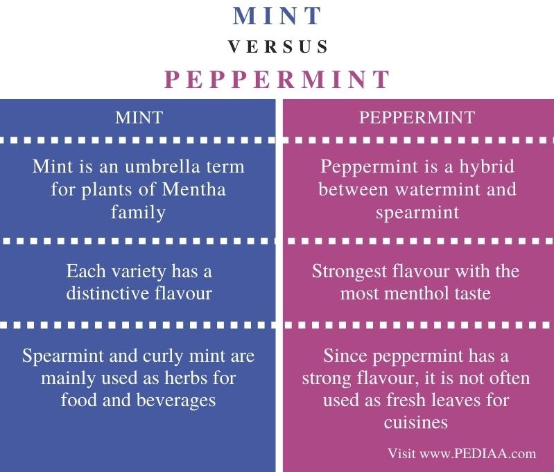 Difference Between Mint and Peppermint - Comparison Summary