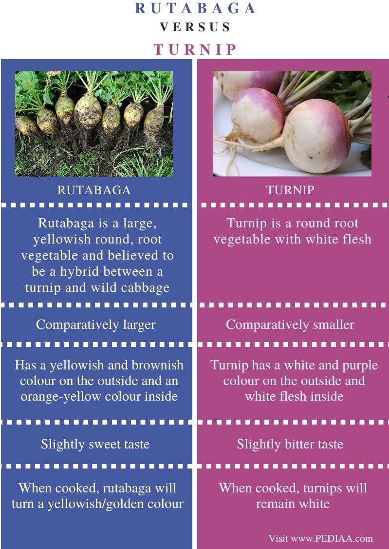 Difference Between Rutabaga and Turnip - Comparison Summary