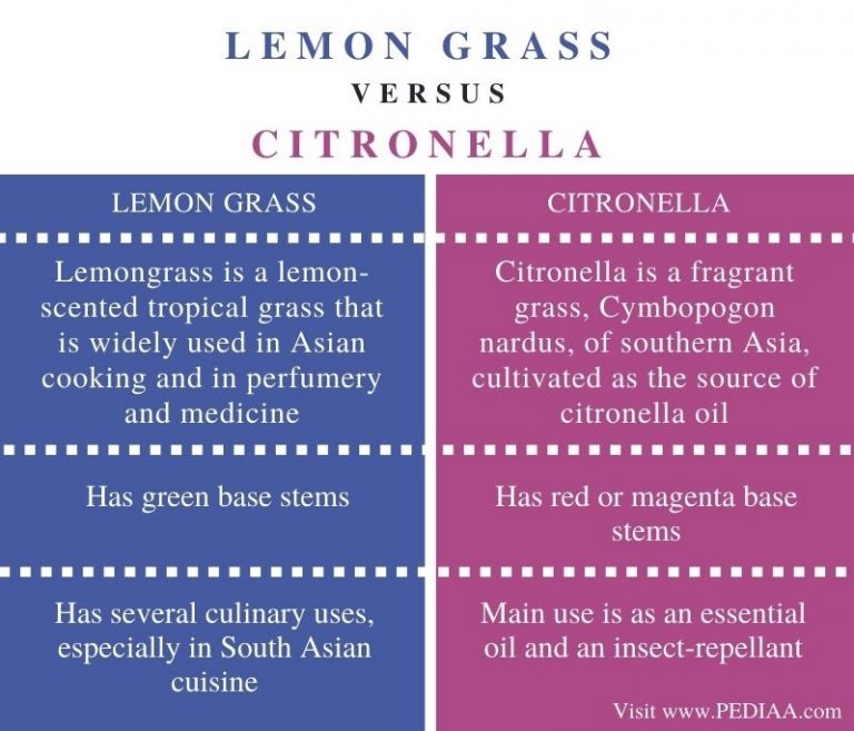 What is the Difference Between Lemon Grass and Citronella