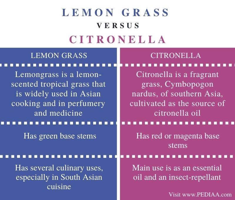 Difference Between Lemon Grass and Citronella - Comparison Summary