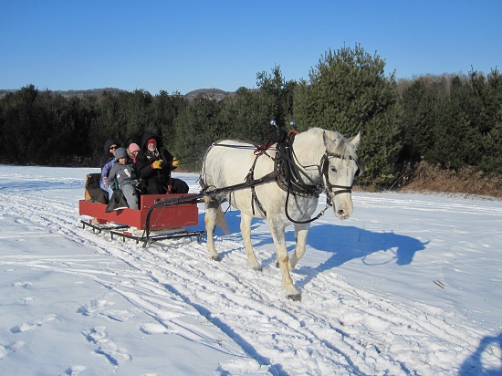 what-is-the-difference-between-sledge-and-sleigh-pediaa-com