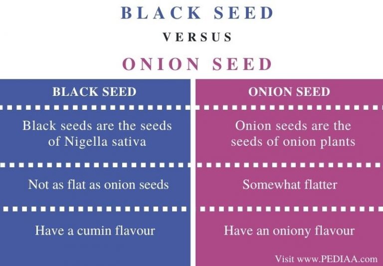 What is the Difference Between Black Seed and Onion Seed