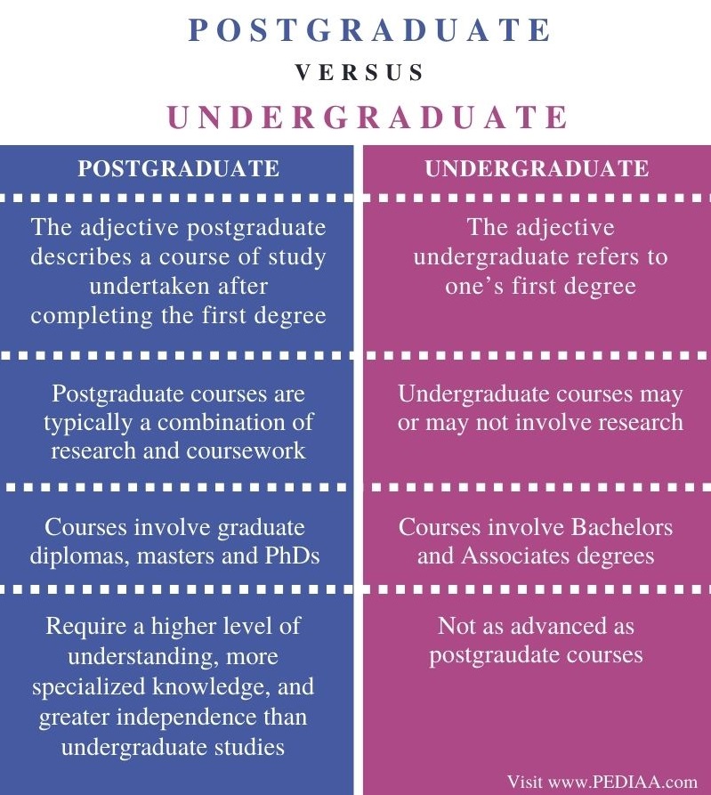 phd graduate or undergraduate