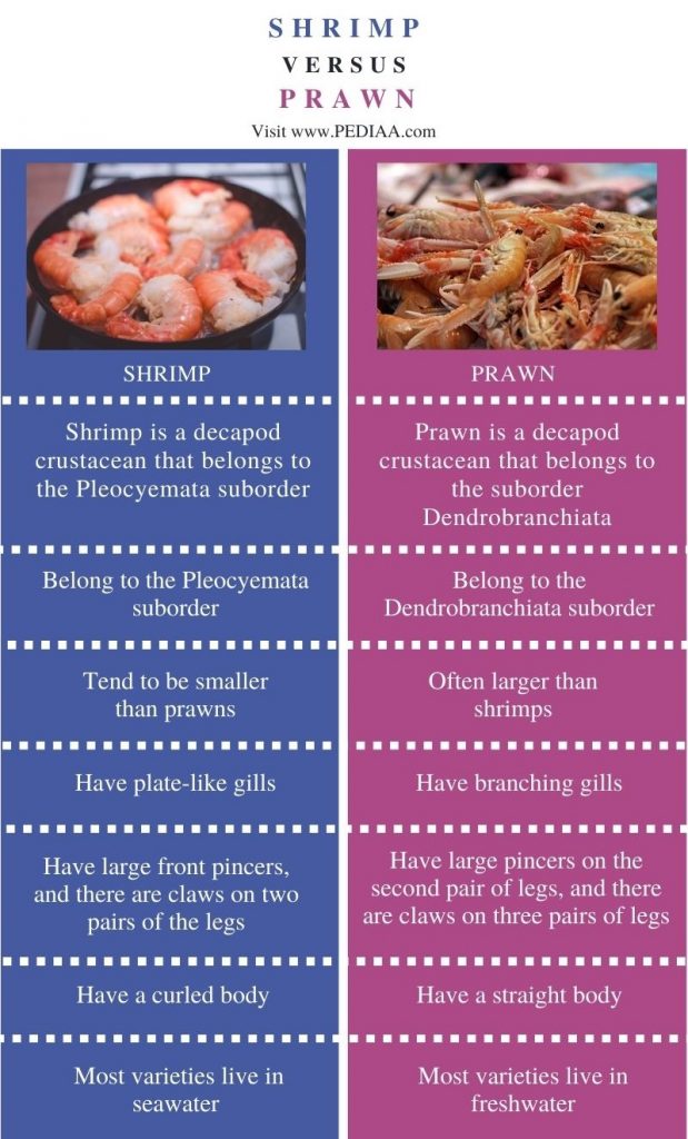 What is the Difference Between Shrimp and Prawn