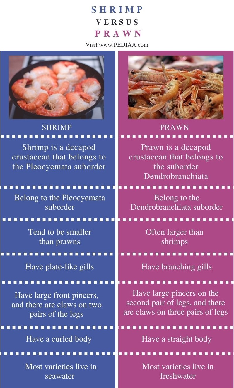Difference Between Shrimp and Prawn - Comparison Summary